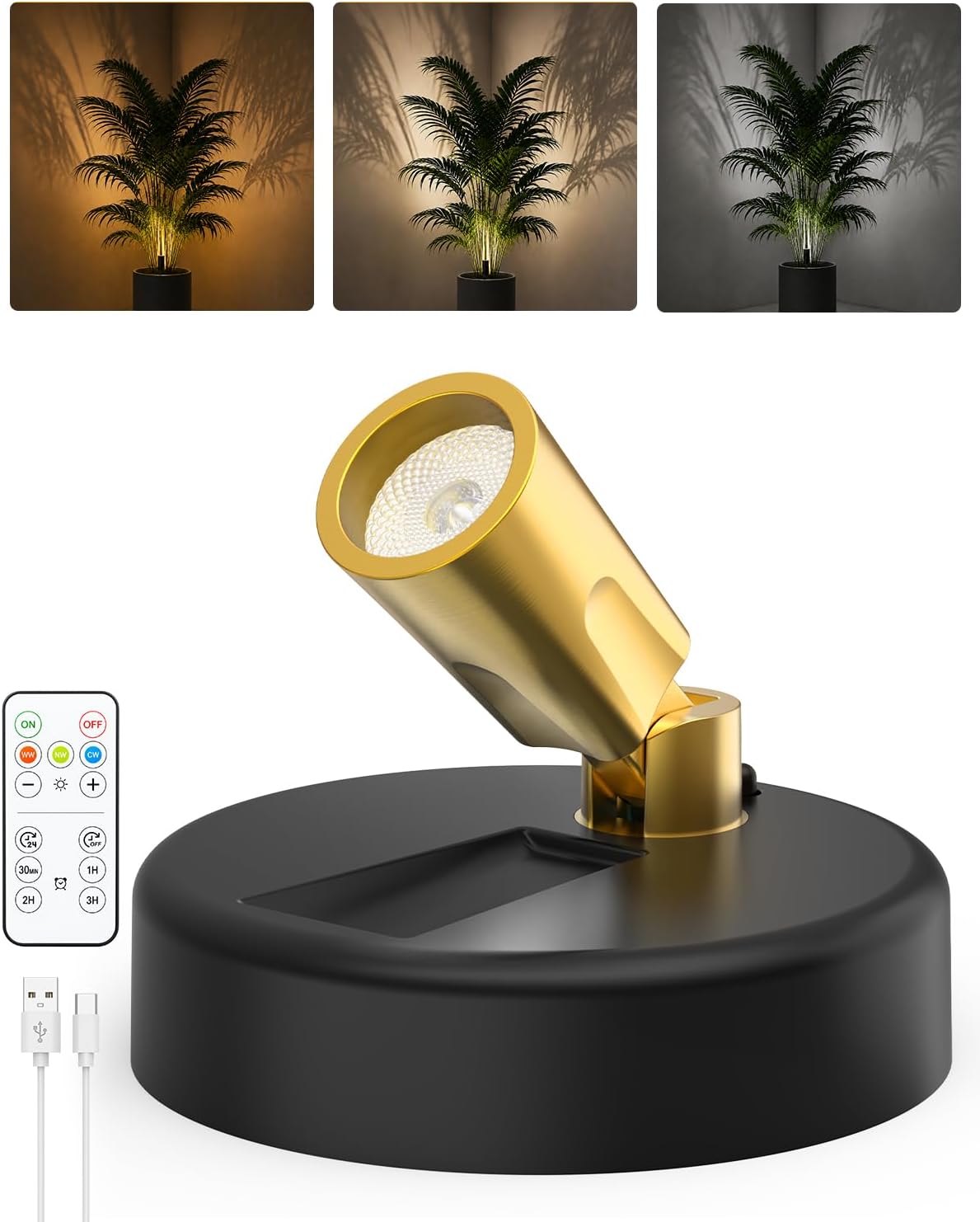 Rechargeable indoor spotlight uplighting a houseplant and framed art on a living room wall