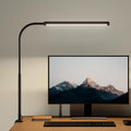 LED desk lamp with clamp and flexible gooseneck lighting a home office work surface