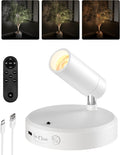 Rechargeable indoor spotlight uplighting a houseplant against a living room wall