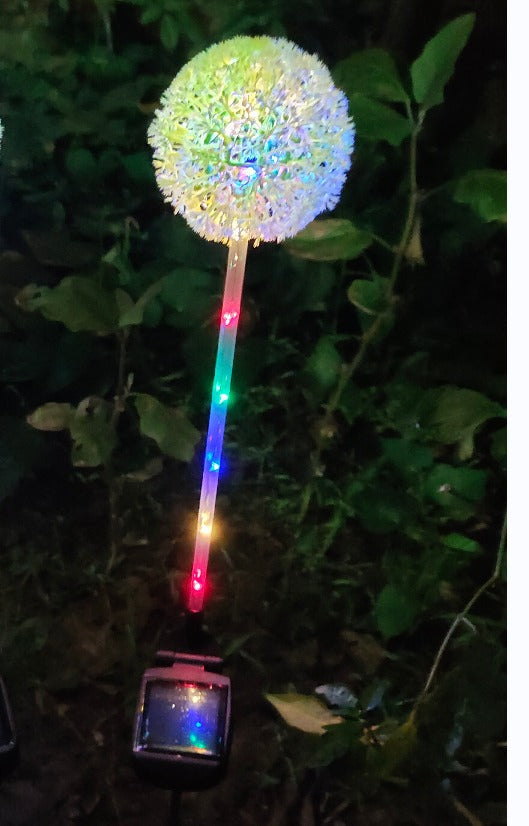 One multicolour dandelion solar light on its stake, lit at night