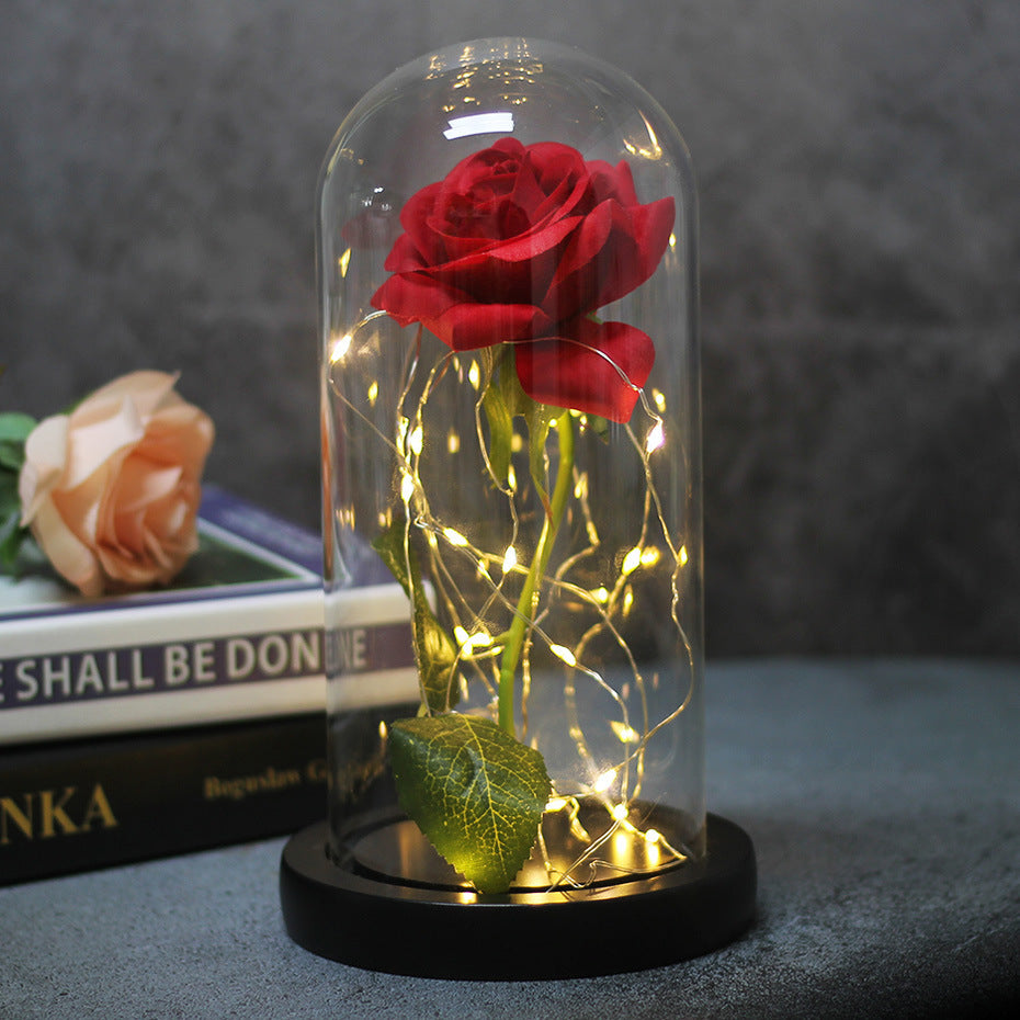 Red rose in a glass dome with fairy lights, black base, beside books