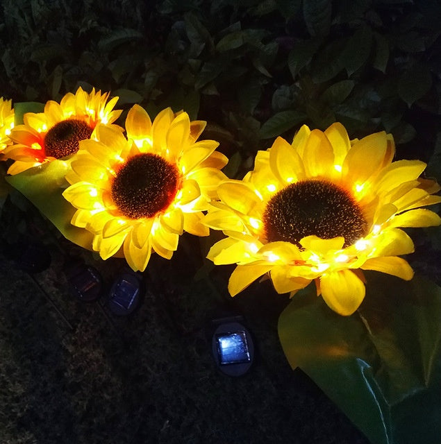 Close-up of two sunflower solar lights glowing warm at night