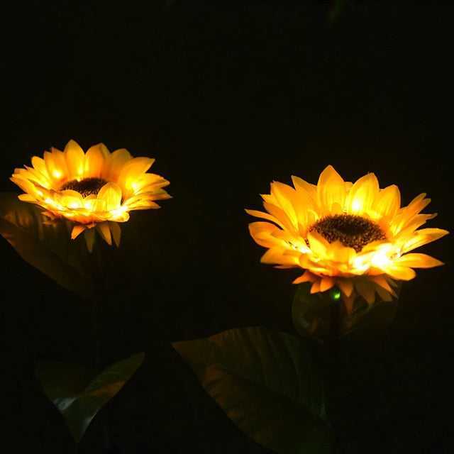 Two sunflower solar lights glowing warm against a dark background